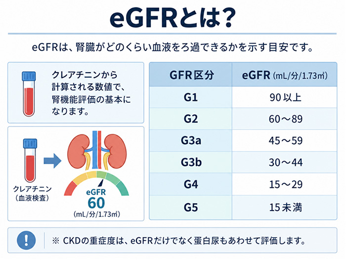 eGFRとは